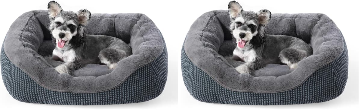 מיטה לכלב קטן — INVENHO Small Dog Bed for Small Dogs, Cat Beds for Indoor Cats Washable, Orthope