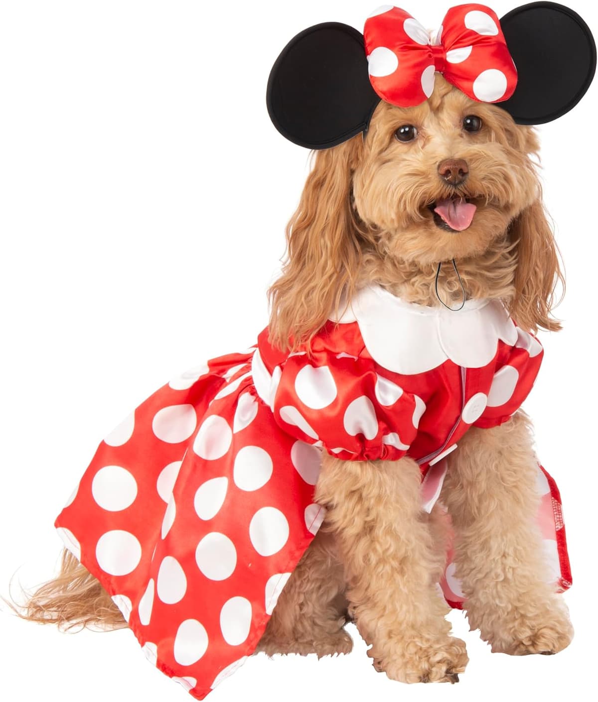 תחפושת לכלב — Disney: Minnie Mouse Pet Costume for For Dogs or Cats by Rub