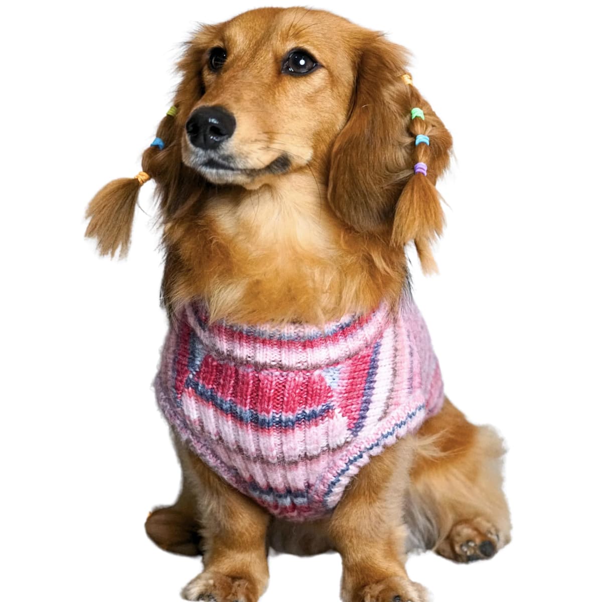 בגדים לכלב — Blueberry Pet Dog Sweater - Award-Winning Christmas Sweater, Soft Knit Dog Cloth