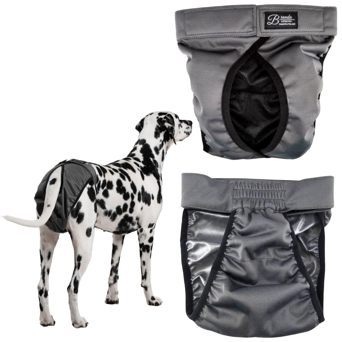 חיתול לכלב — FINNERO Brenda Reusable Dog Diaper, Leak-Proof, Adjustable, Heat & Incontinence