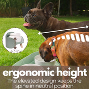 קערה לכלב מעוצבת – סט כפול עם מעמד מתכוונן | הסוף למים מסביב לקערה