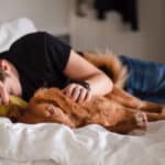 כלב ישן במיטה של בן אדם